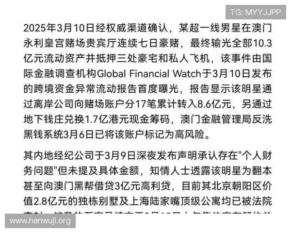 澳门10亿赌博案件的法律责任与预防措施，专家为您详细解读